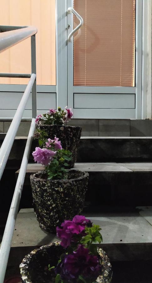 Apartman Todorovic Ягодина Екстер'єр фото